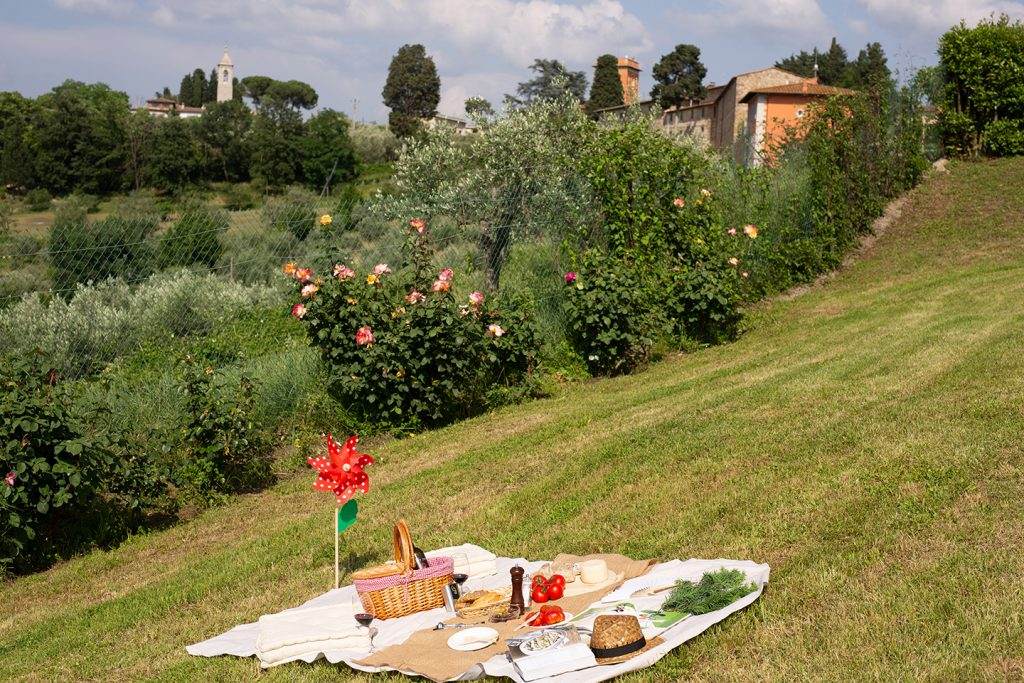 Primavera e Picnic