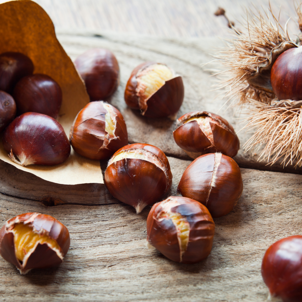 October - Autumn and chestnuts
