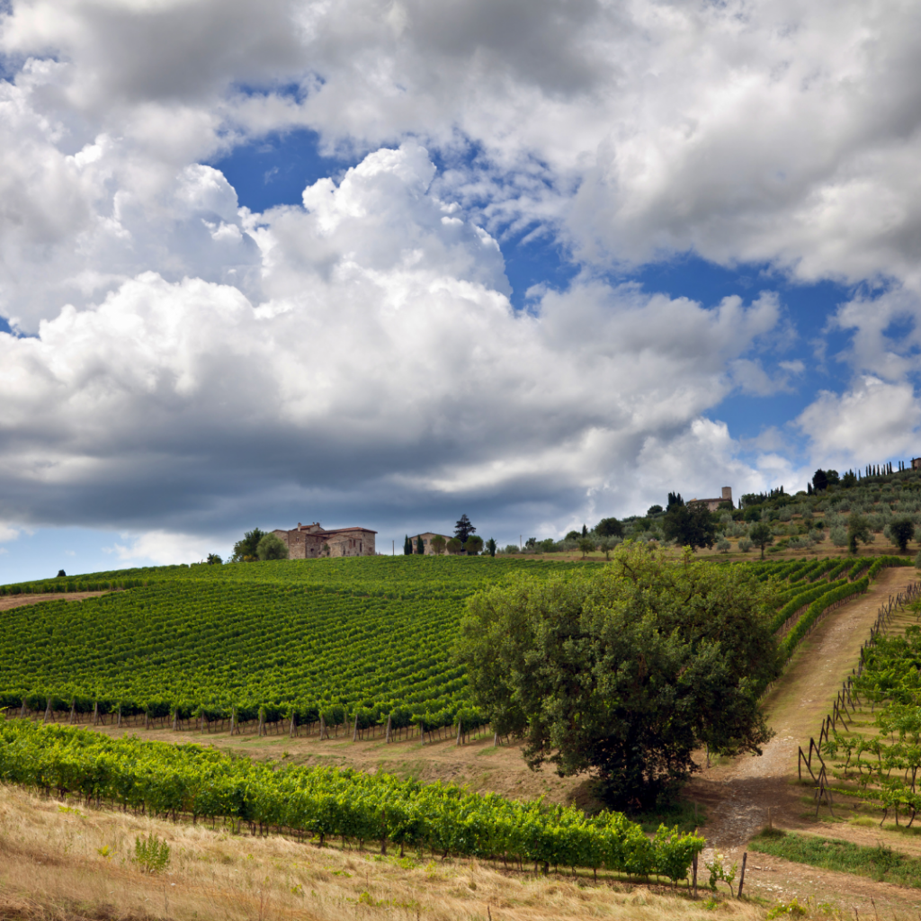 Chianti: hills, cellars and tastings