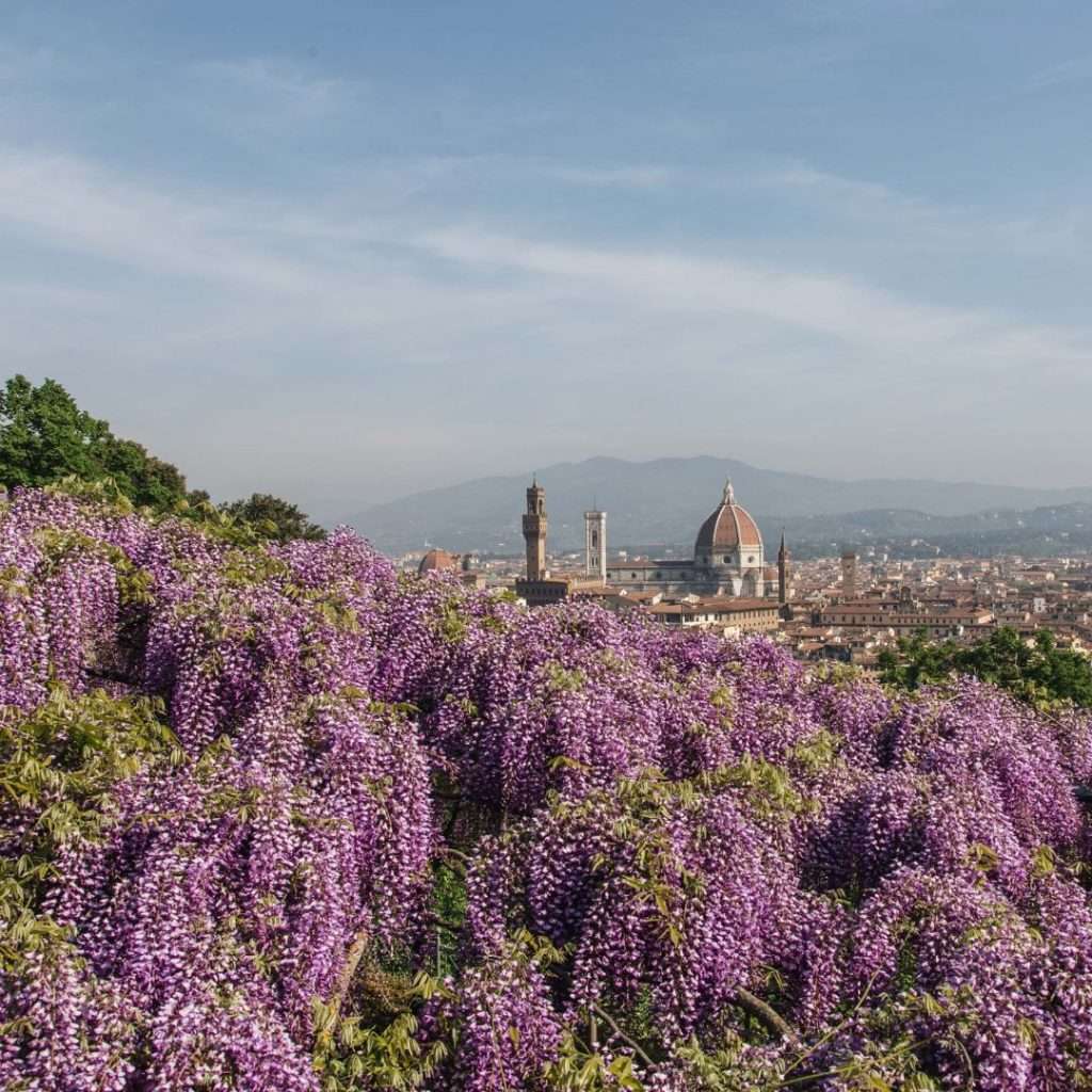 Benvenuta primavera